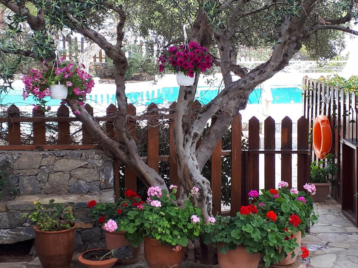 Ferma Solaris Apartments Agia Fotia  المظهر الخارجي الصورة