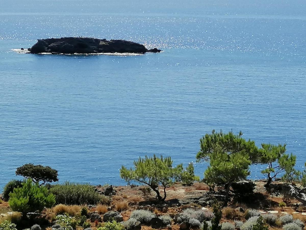 Ferma Solaris Apartments Agia Fotia  المظهر الخارجي الصورة